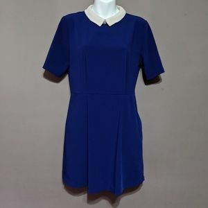 Blue Dress Peter Pan Collar Mini